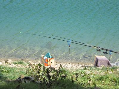 Прикрепленное изображение: IMG_0265.JPG